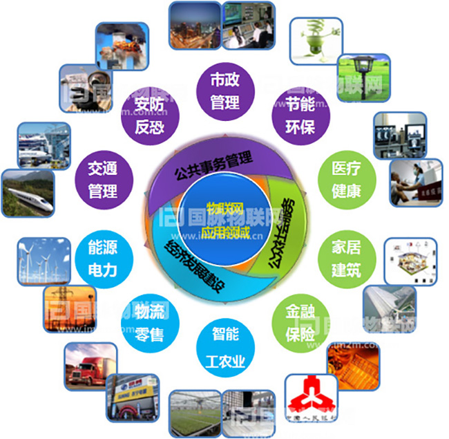 杨冰之：重视物联网在关键产业的应用