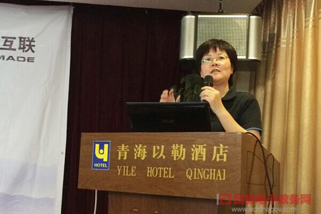 永乐高ylg888888互联总经理、首席规划师郑爱军正在进行《政府网站+评估体系构建思路》的主题演讲