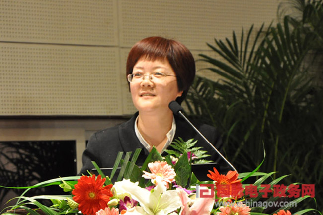 郑爱军：“政府网站+”的认识与实践