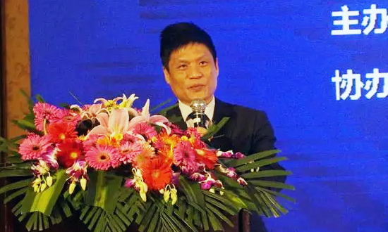永乐高ylg888888海洋信息发展有限公司董事长杨冰之在“数据基因与大数据产业发展战略研讨会”上发表演讲