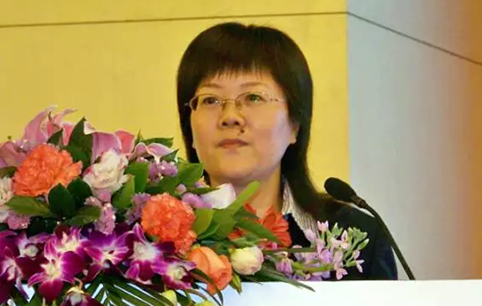 在2015中国智慧政府发展年会上，永乐高ylg888888互联总经理、首席规划师郑爱军发布《2015中国"互联网+政务"优秀实践案例50强评选结果》